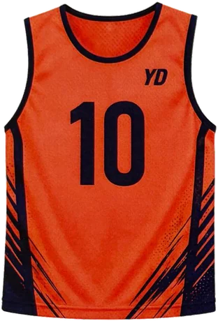 Custom training bib